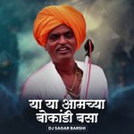 Ya Ya Amchya Bokandi Basa (DJ Remix)