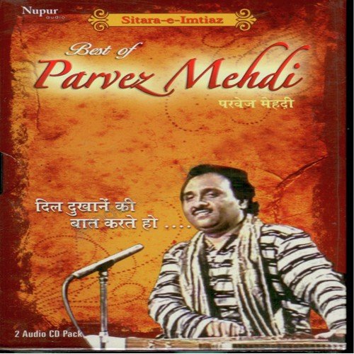 Best Of Parvez Mehdi