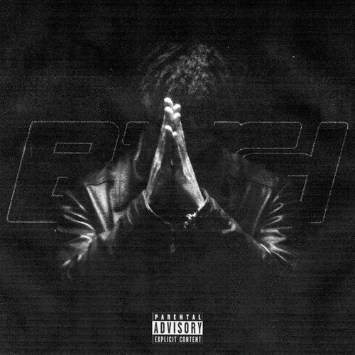 Bird cover art