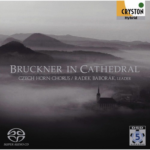 Bruckner In Cathedral