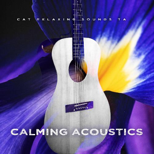 Calming Acoustics_poster_image