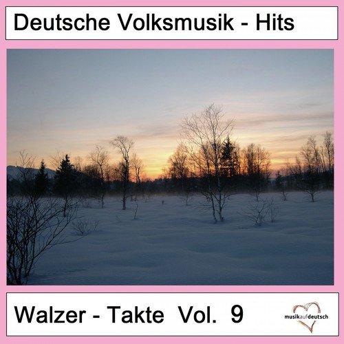 Deutsche Volksmusik-Hits: Walzer-Takte, Vol. 9