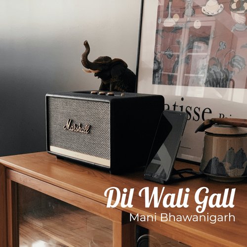 Dil Wali Gall