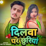 Dilwa Par Chhuriya