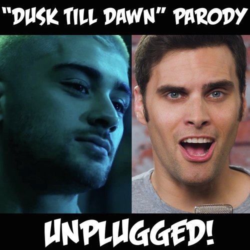 "Dusk Till Dawn" Parody - Unplugged