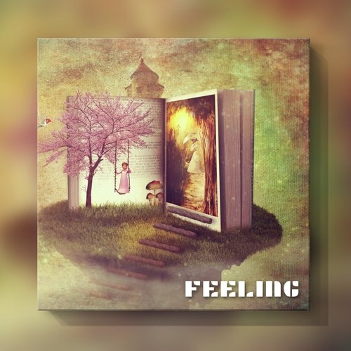 Feeling_poster_image