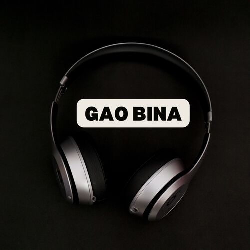 GAO BINA