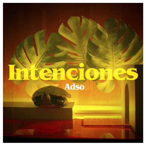 Intenciones