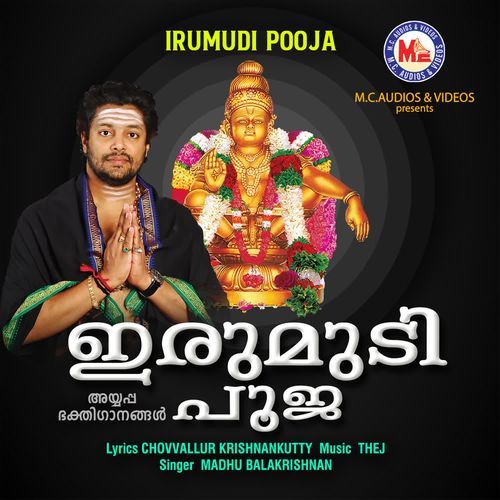 Irumudi pooja