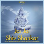 Jai Jai Shiv Shankar