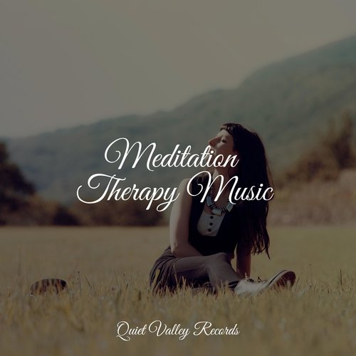 Meditation Therapy Music