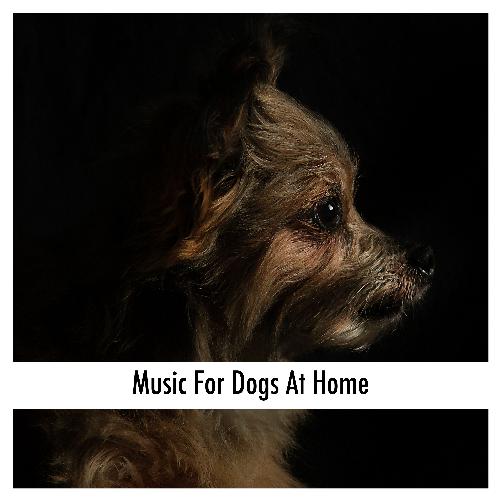 Dachshunds Of Chill cover art