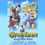 Om Namah Shivay - Markande Mahadev Avatar