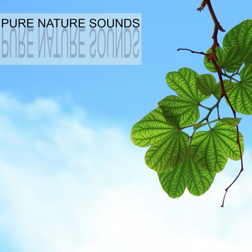 Calming River cover art