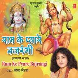 Marzi Teri Tu Thaam Le Ya