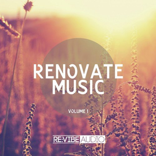 Renovate Music, Vol. 1