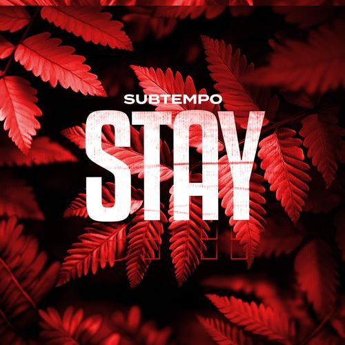 STAY (DnB)