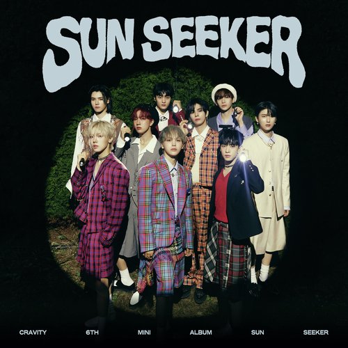 SUN SEEKER_poster_image