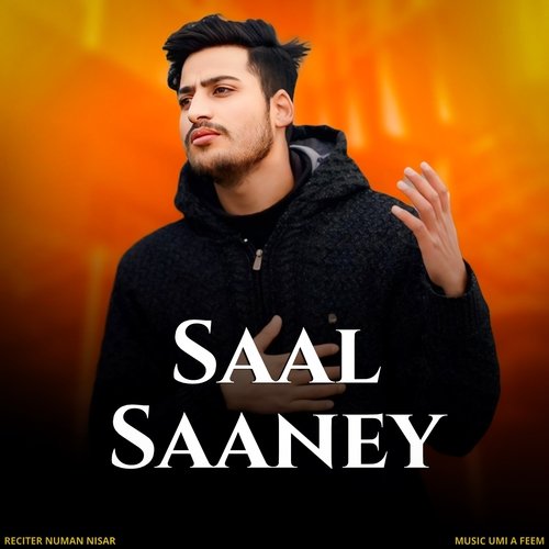 Saal Saaney