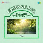 Mazya Kamarela Lachak Bharali