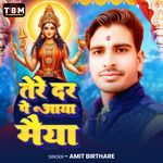 Tere Dar Pe Aaya Maiya