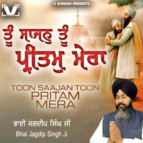 Toon Saajan Toon Pritam Mera