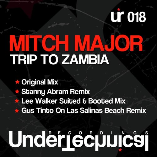 Trip To Zambia (Lee Walker Suited & Booted Mix) cover art