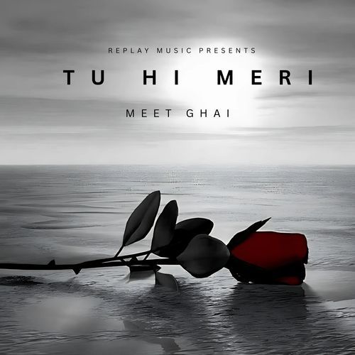 Tu Hi Meri