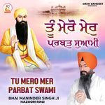 Tu Mero Mer Parbat Swami
