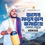 Vaber Manush Vab Jomysee Amar Ontore