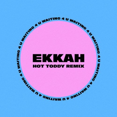 Waiting 4 You (Hot Toddy Remix)