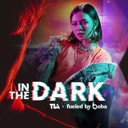 in the dark_poster_image