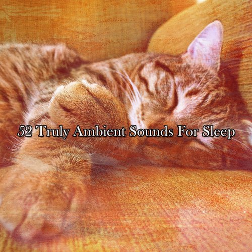 52 Truly Ambient Sounds For Sleep