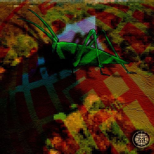 Desert cover art