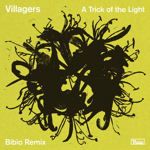 A Trick of the Light (Bibio Remix)_poster_image