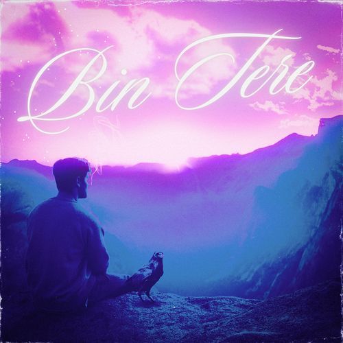 Bin Tere