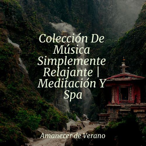 Colección De Música Simplemente Relajante | Meditación Y Spa_poster_image