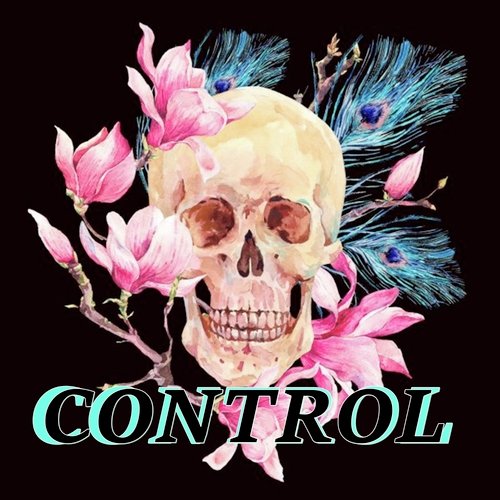 Control_poster_image