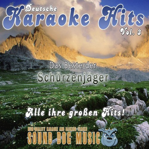 Highway Crew (Karaoke Version) cover art