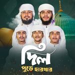 Dil Pure Charkhar
