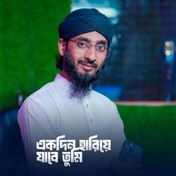 Ekdin Hariye Jabe Tumi
