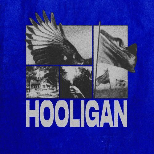 Hooligan cover art