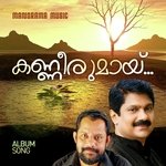 Kanneerumaayi (From "Roses In December")