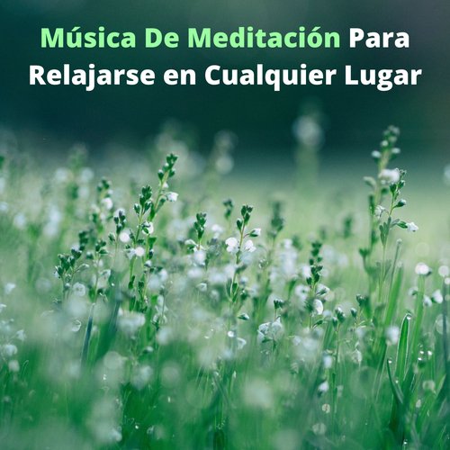 Música Para La Mente cover art
