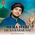Mera Nabi Dil Ka Karar Hai