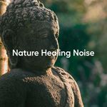 Nature Healing Noise