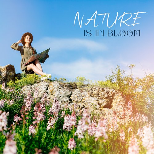 Nature is in Bloom: Spring Equinox Relaxation