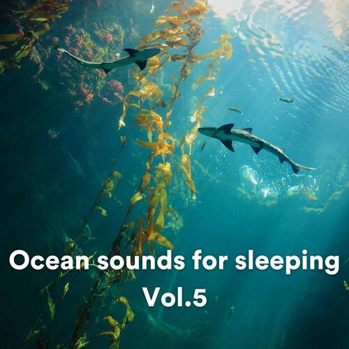 Ocean sounds for sleeping, Vol. 5_poster_image