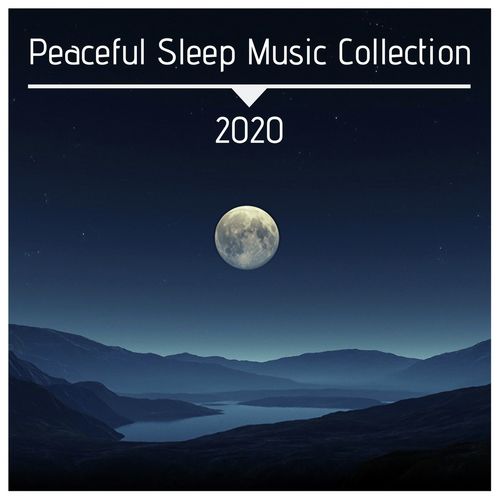In the Moonlight cover art