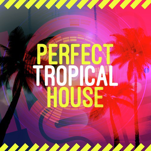 Perfect Tropical House